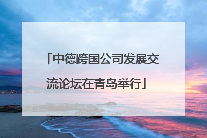中德跨国公司发展交流论坛在青岛举行