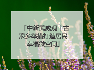 中新武威观｜古浪多举措打造居民幸福微空间