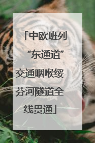 中欧班列“东通道”交通咽喉绥芬河隧道全线贯通