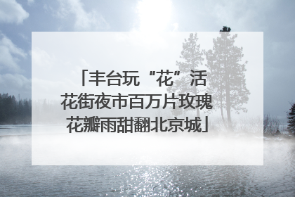 丰台玩“花”活 花街夜市百万片玫瑰花瓣雨甜翻北京城