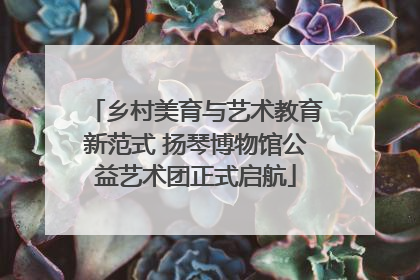 乡村美育与艺术教育新范式 扬琴博物馆公益艺术团正式启航