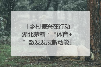 乡村振兴在行动丨湖北茅箭：“体育+”激发发展新动能