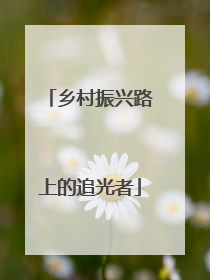 乡村振兴路上的追光者