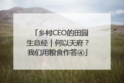 乡村CEO的田园生意经｜何以天府？我们用粮食作答④