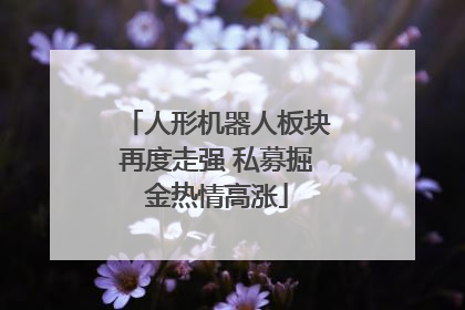 人形机器人板块再度走强 私募掘金热情高涨