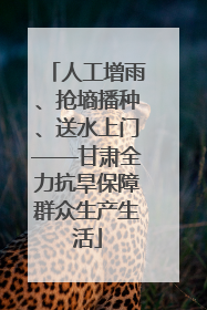 人工增雨、抢墒播种、送水上门——甘肃全力抗旱保障群众生产生活