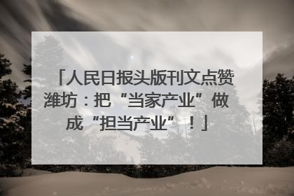人民日报头版刊文点赞潍坊：把“当家产业”做成“担当产业”！
