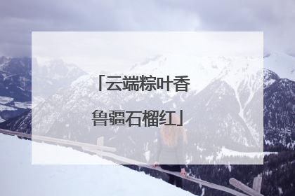 云端粽叶香 鲁疆石榴红