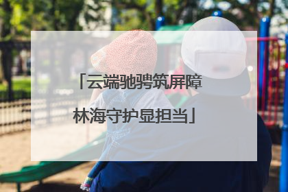 云端驰骋筑屏障 林海守护显担当