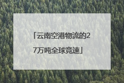 云南空港物流的27万吨全球竞速