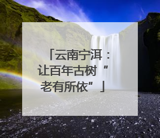 云南宁洱：让百年古树“老有所依”