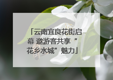 云南宜良花街启幕 邀游客共享“花乡水城”魅力