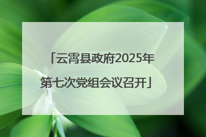 云霄县政府2025年第七次党组会议召开