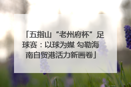五指山“老州府杯”足球赛：以球为媒 勾勒海南自贸港活力新画卷