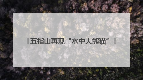 五指山再现“水中大熊猫”