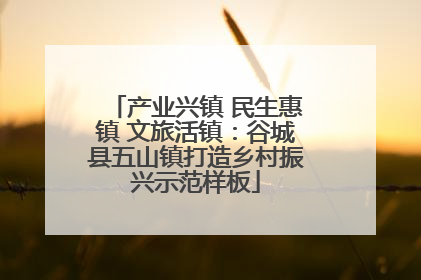 产业兴镇 民生惠镇 文旅活镇：谷城县五山镇打造乡村振兴示范样板