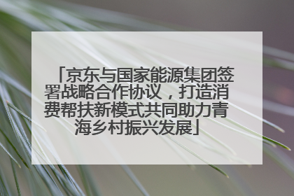 京东与国家能源集团签署战略合作协议，打造消费帮扶新模式共同助力青海乡村振兴发展