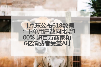 京东公布618数据：下单用户数同比增100% 超百万商家和6亿消费者受益AI