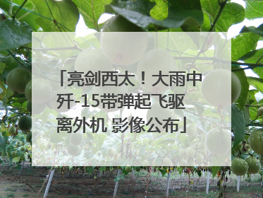 亮剑西太！大雨中歼-15带弹起飞驱离外机 影像公布