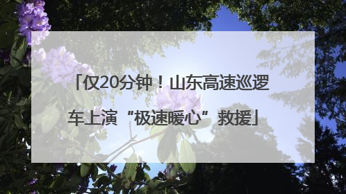仅20分钟！山东高速巡逻车上演“极速暖心”救援