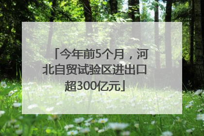 今年前5个月，河北自贸试验区进出口超300亿元