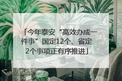 今年泰安“高效办成一件事”国定12个、省定2个事项正有序推进