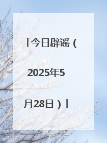 今日辟谣（2025年5月28日）