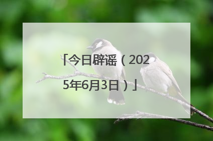 今日辟谣（2025年6月3日）