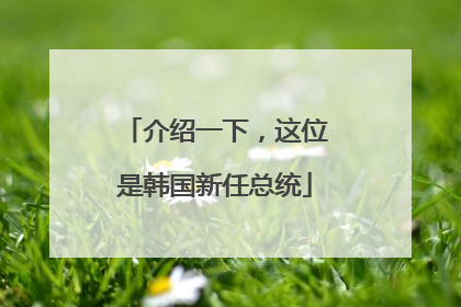 介绍一下，这位是韩国新任总统