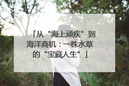 从“海上顽疾”到海洋商机：一株水草的“宝藏人生”