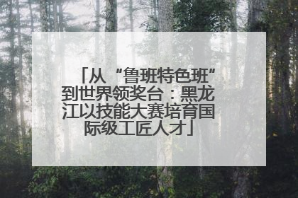 从“鲁班特色班”到世界领奖台：黑龙江以技能大赛培育国际级工匠人才