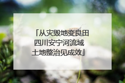 从灾毁地变良田 四川安宁河流域土地整治见成效