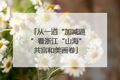 从一道“加减题”看浙江“山海”共富和美画卷