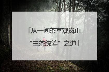 从一间茶室观岚山“三茶统筹”之道