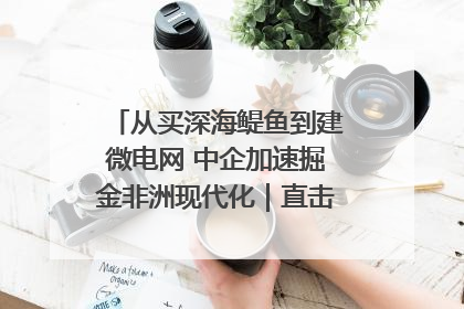 从买深海鳀鱼到建微电网 中企加速掘金非洲现代化｜直击中非经贸博览会
