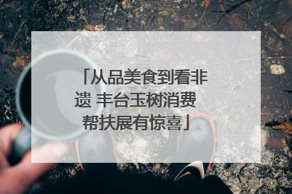 从品美食到看非遗 丰台玉树消费帮扶展有惊喜