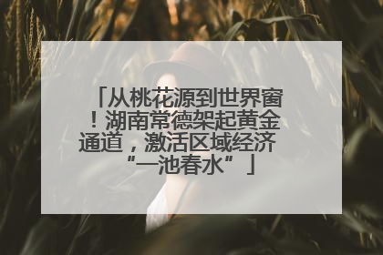 从桃花源到世界窗！湖南常德架起黄金通道，激活区域经济“一池春水”