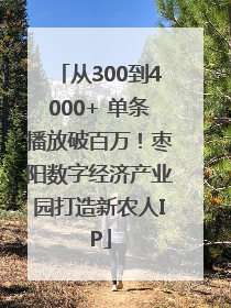 从300到4000+ 单条播放破百万！枣阳数字经济产业园打造新农人IP