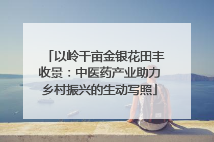以岭千亩金银花田丰收景：中医药产业助力乡村振兴的生动写照