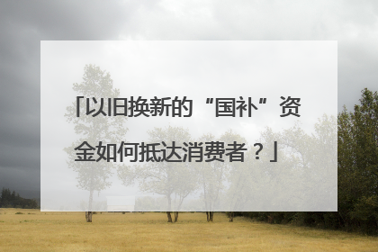 以旧换新的“国补”资金如何抵达消费者？