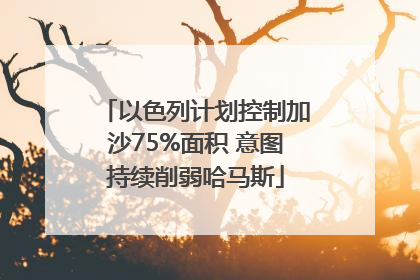 以色列计划控制加沙75%面积 意图持续削弱哈马斯