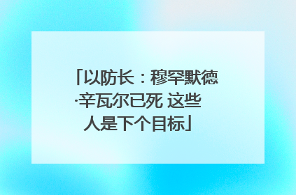 以防长：穆罕默德·辛瓦尔已死 这些人是下个目标