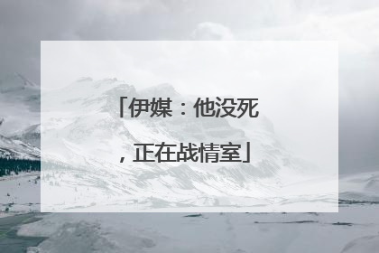 伊媒：他没死，正在战情室