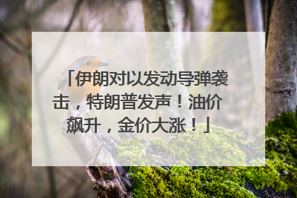 伊朗对以发动导弹袭击，特朗普发声！油价飙升，金价大涨！