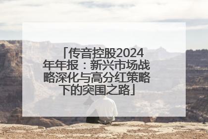 传音控股2024年年报：新兴市场战略深化与高分红策略下的突围之路