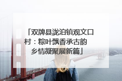 双牌县泷泊镇观文口村：粽叶飘香承古韵 乡情凝聚展新篇