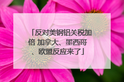 反对美钢铝关税加倍 加拿大、墨西哥、欧盟反应来了
