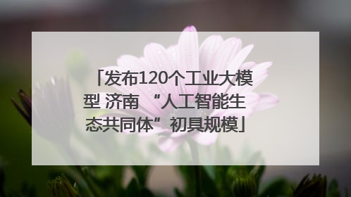 发布120个工业大模型 济南 “人工智能生态共同体”初具规模