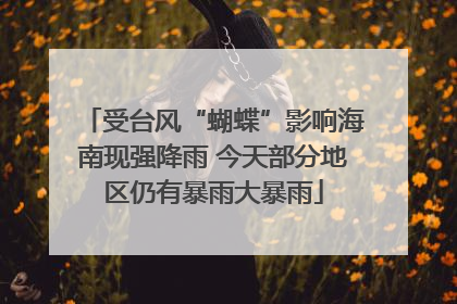 受台风“蝴蝶”影响海南现强降雨 今天部分地区仍有暴雨大暴雨