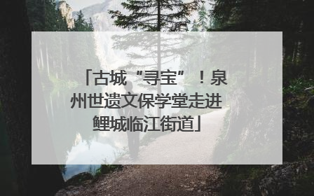 古城“寻宝”！泉州世遗文保学堂走进鲤城临江街道